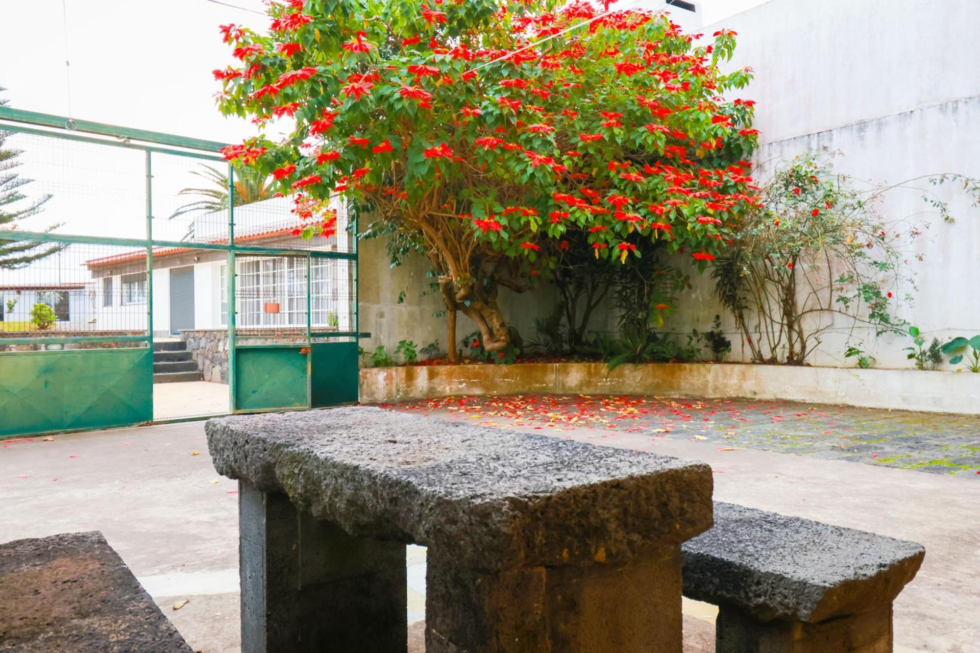 Casa Barao Das Laranjeiras Ponta Delgada المظهر الخارجي الصورة
